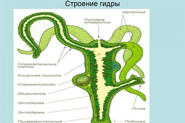 Кракен шоп нарк