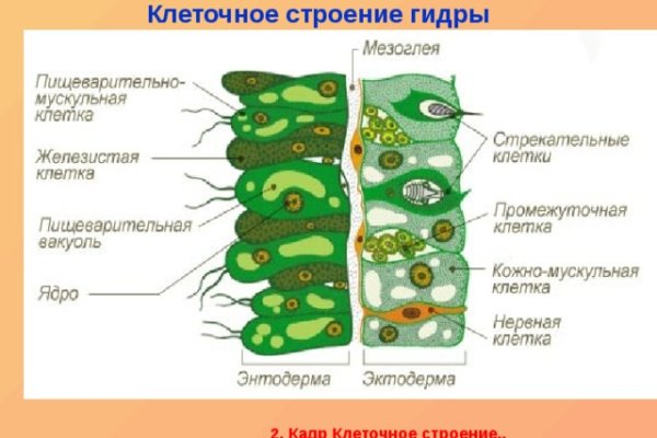 Kraken зеркало kr2web in