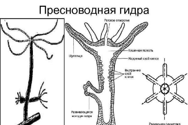 Кракен мефедрон